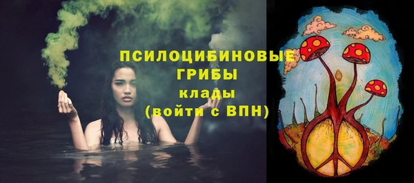 трава Кулебаки