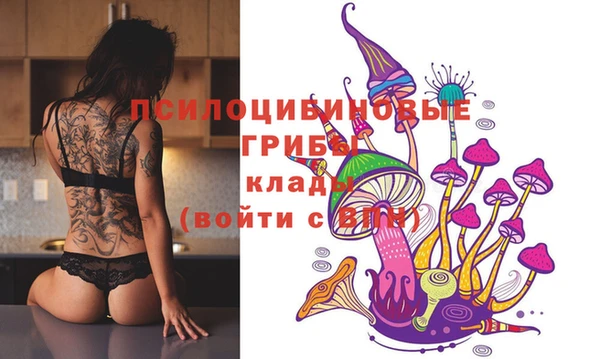 трава Кулебаки